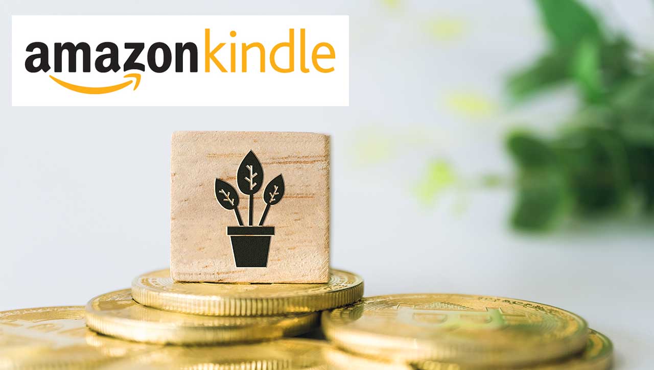 Amazon KDP 2022 : pourquoi vendre des livres brochés à faible contenu (No/Low content Book)